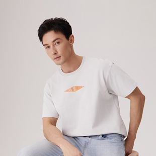 T恤003N1 Levi 休闲短袖 男士 0002 s李维斯