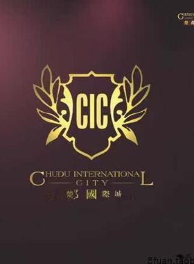 高级企业集团紫色大气VI标识设计宣传册画册CDR素材模板