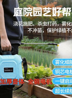 电动喷雾器家用农用消毒灭蚊