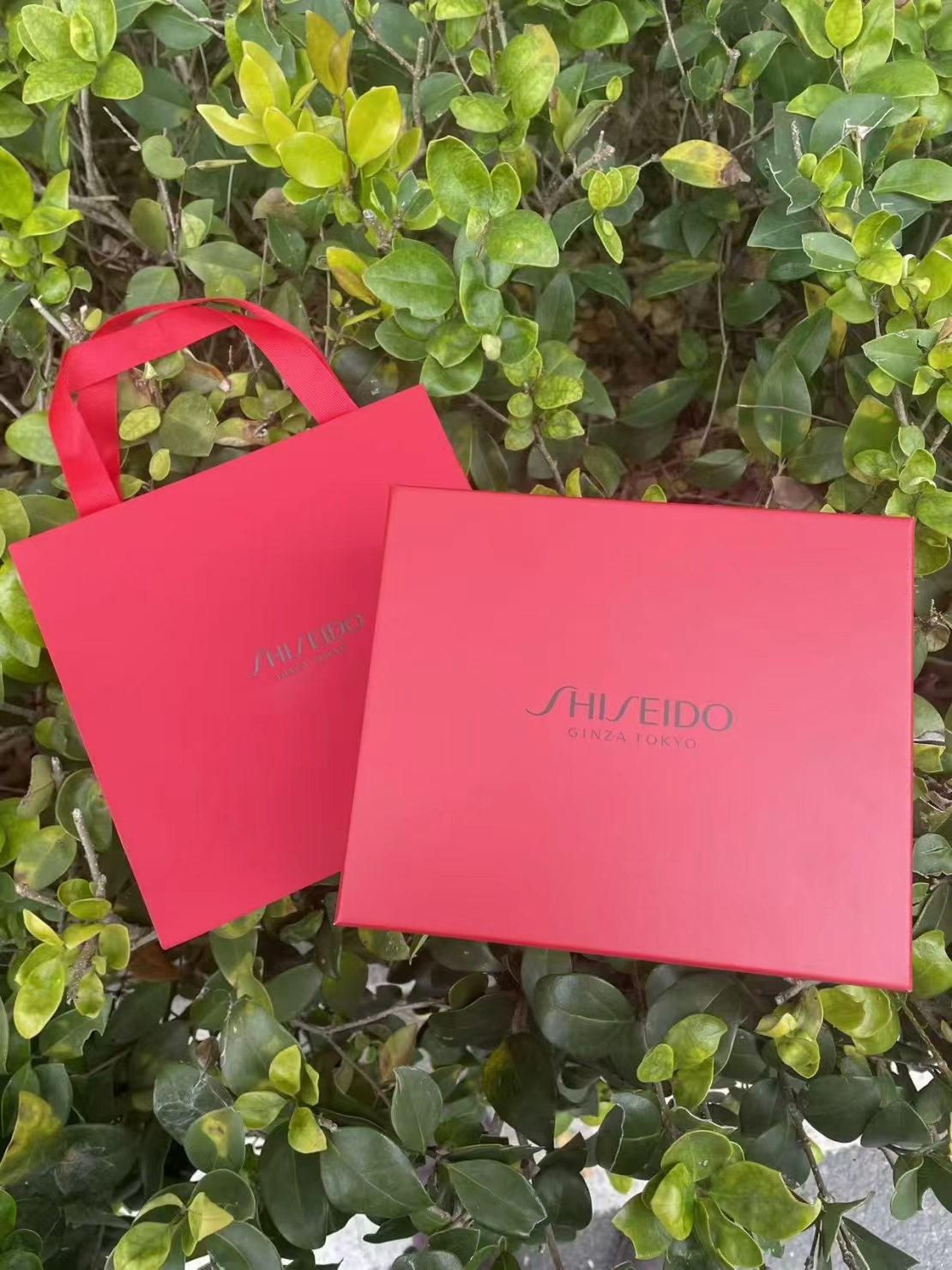 资生堂化妆品纸袋 手提袋 空礼盒购物袋专柜正品大小号礼袋袋子