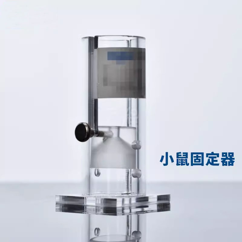 小鼠固定器/尾静脉注射固定器/老鼠尾静脉注射固定器小白鼠固定器
