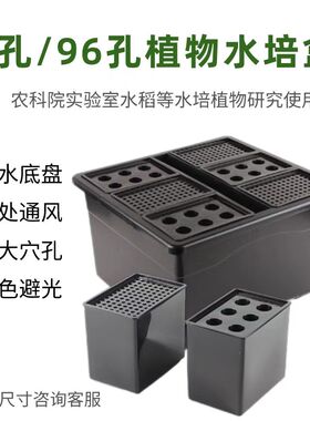 实验室植物水培盒水稻小麦培育秧盒6孔/96孔组合黑色避光无土栽培