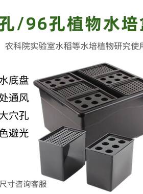 水稻小麦水培盒农科院指定产品