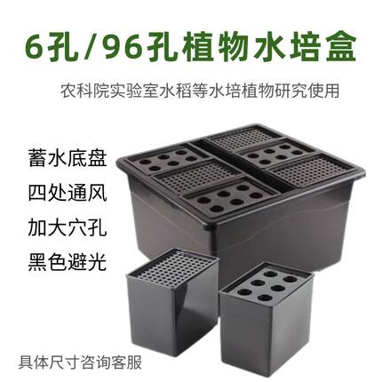 实验室植物水培盒水稻小麦培育秧盒6孔/96孔组合黑色避光无土栽培