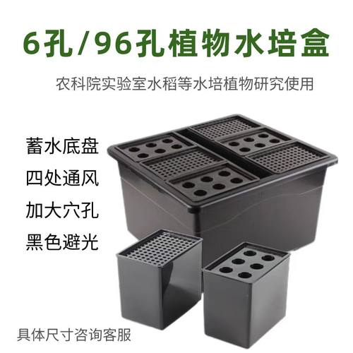 水稻小麦水培盒农科院指定产品