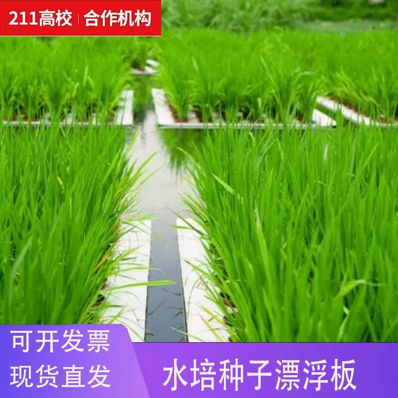 铭轩 植物水培板 水培漂浮板 水稻小麦水培板拟南芥水培板 浮漂板