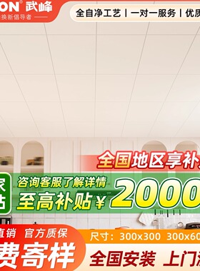 武峰吊顶集成吊顶铝扣板300x600厨房卫生间铝扣板吊顶天花板自装