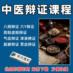 中医辨证视频U盘八纲辨证六经辩证气血辩证脏腑辩证教程优盘全集