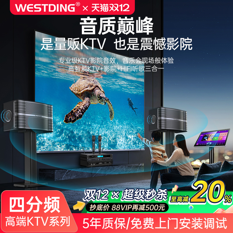 【专业级音效】高端家庭KTV音响