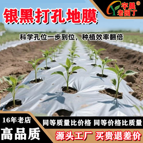 定制带洞眼农用塑料薄膜蔬菜双色打孔地膜银黑地膜草莓辣椒西红柿