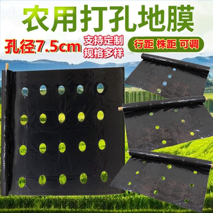 定制打孔地膜带洞眼农用塑料薄膜蔬菜双色银黑地膜防草率