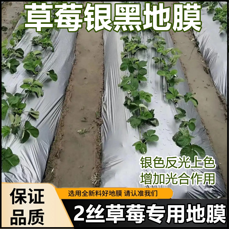 农用地膜果树园保温反光除防草银灰双色银黑地膜胶纸大棚塑料薄膜