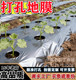 定制打孔地膜带洞眼农用塑料薄膜蔬菜双色银黑地膜防草率
