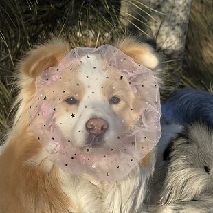 【遛狗神器】狗狗头套防偷吃透气面纱小狗嘴套宠物防误食防舔网套