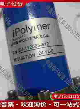 拍前询价：赛默飞电磁阀 SV-112095-512未用无包装