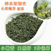 包邮 神农架特产银杏叶茶 250克 白果树叶已脱毒 头茬银杏嫩芽茶