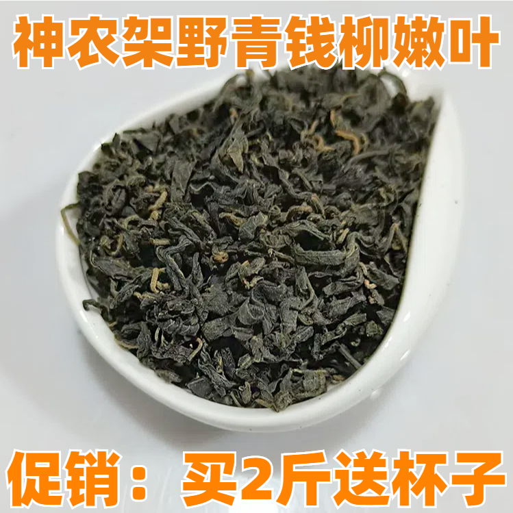 神农架特产 深山古树青钱柳茶 金钱柳 青钱柳小嫩叶 嫩芽 500克