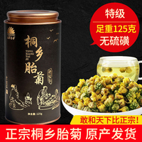 正宗桐鄉(xiāng)胎菊特級(jí)菊花茶菊花正品杭白菊花蕾無硫磺泡水泡茶旗艦店