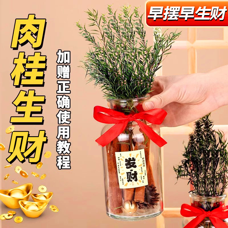 肉桂生财瓶摆件招财聚玻璃瓶花瓶diy材料客财厅位乔迁新居搬家用
