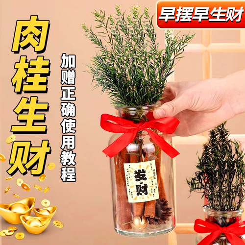 肉桂生财瓶摆件招财聚玻璃瓶花瓶diy材料客财厅位乔迁新居搬家用