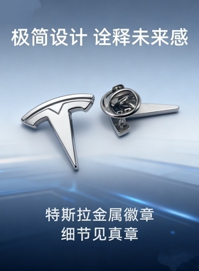 名车徽标特斯拉胸针金属徽章4S店销售行政襟针证章