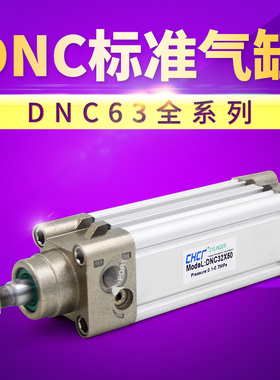 DNC气缸费斯托型标准缸DNC63X50/100/150/200/300/400（Festo型）