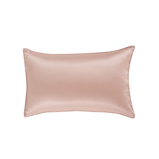 蚕花娘娘丝绸单面真丝枕套桑蚕丝枕芯单个枕套AB面亲肤