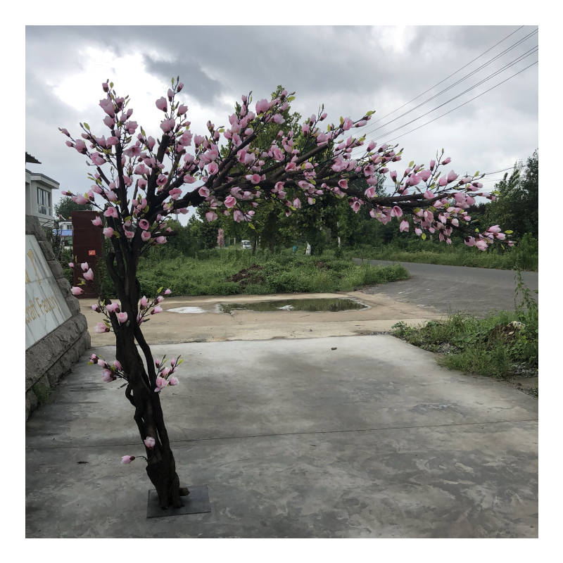仿真许愿树客厅装饰摆放玉兰树