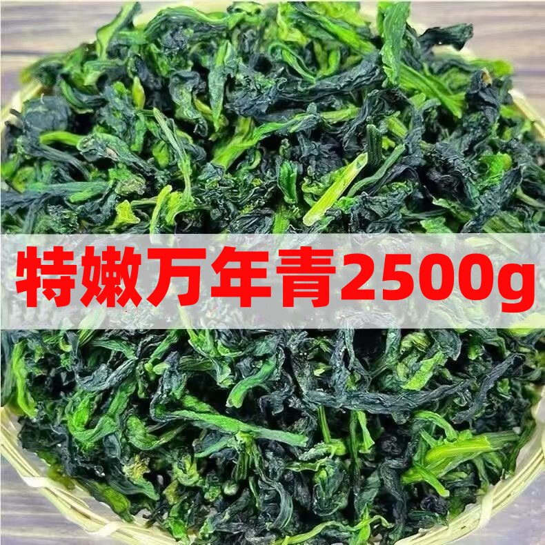 批发5斤10斤农家特产万年青菜脱水蔬菜