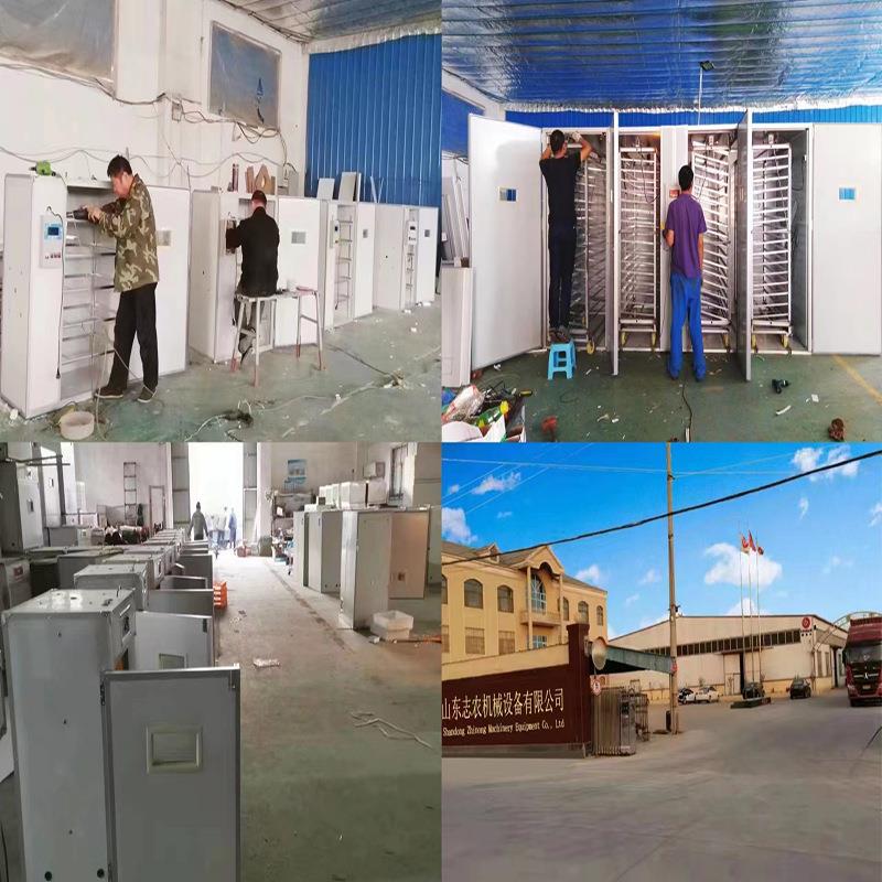 源头产地小鸡孵化器智能家用小型孵蛋器大型全自动恒温孵化机