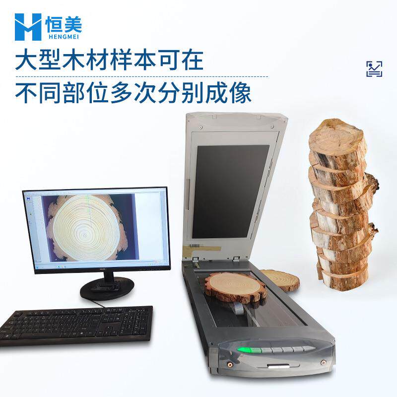 树木年轮分析仪植物生长年龄检测树木圆盘面积周长图像分析系统