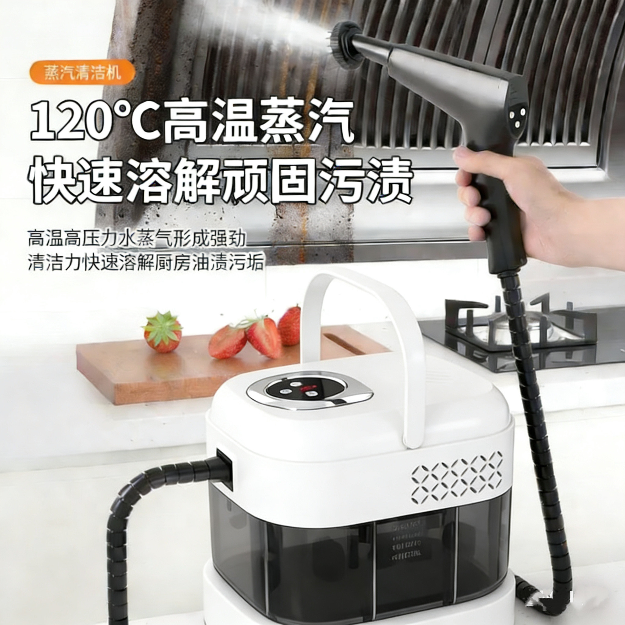 跨境110-220V高温高压蒸汽清洁机家用厨房油烟机沙发消毒清洗车机