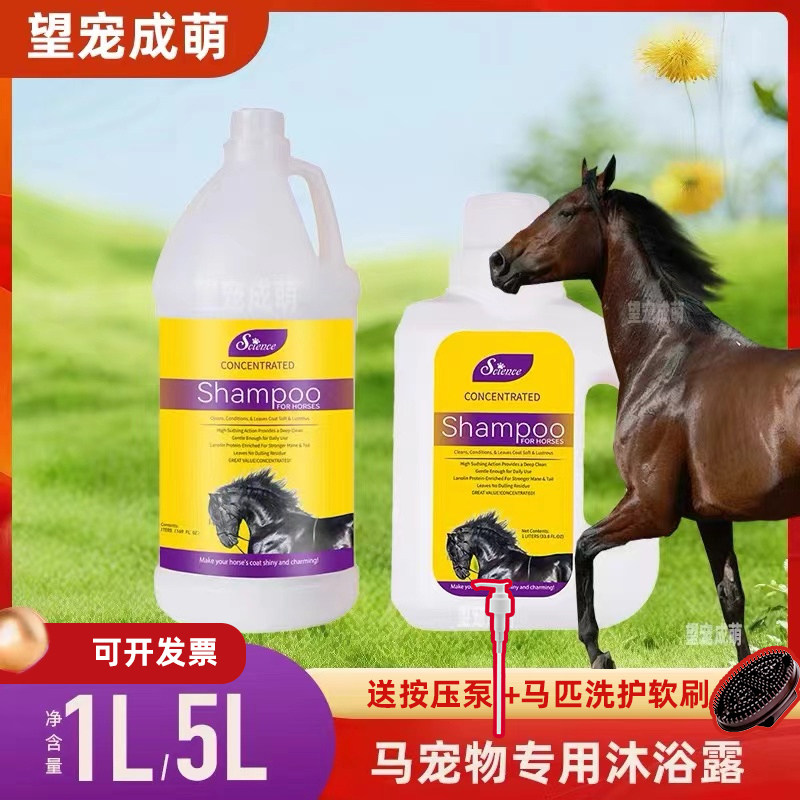 马用沐浴露 赛恩斯宠物 沐浴露马匹香波1L 5L马毛护理 洗护马毛发