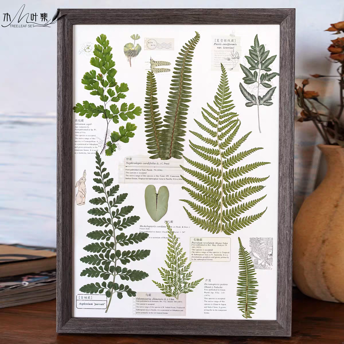 中空相框立体植物标本框diy手工干花蝴蝶昆虫定制摆台衍纸画