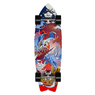 小霸龙S5专业陆地冲浪板儿童初学者成人滑板路冲板slide陆冲板