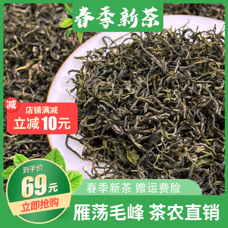 2025雁荡毛峰茶新茶温州特产茶叶春茶雁荡山绿茶