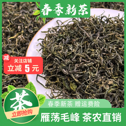 2026雁荡毛峰茶新茶温州特产茶叶春茶雁荡山绿茶