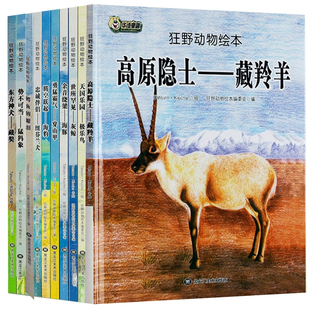 精装硬壳绘本全套10册狂野动物绘本藏獒 猛犸象 鳄鱼的眼泪纽芬兰犬海豹穿山甲 海豚 灰鲸 极乐鸟 藏羚羊 儿童动物世故事书界 正版
