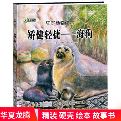 精装硬壳绘本 海狗 矫健轻捷狂野动物绘本 幼儿园硬皮动物知识百科3-6-9岁幼儿园孩子看的书亲子阅读正版现货