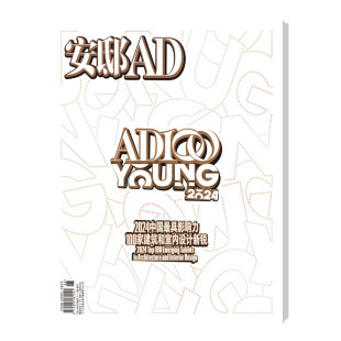 2024 YOUNG 安邸AD AD100