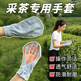 采茶专用手套采摘茶叶神器夏季女士开车专用防晒透气薄遮手背骑行