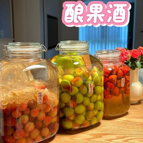 泡酒玻璃瓶葡萄酒瓶空瓶自酿果酒专用发酵桶大容量密封罐酒罐容器