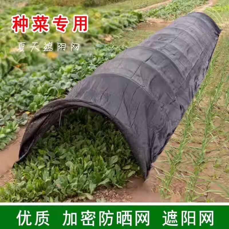 种菜专用防晒遮阳网加密加厚小拱棚遮阴网户外庭院隔热防晒网农用