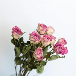 diy手工制作干花玫瑰花花束礼物 真花自然风干装饰永生花保存相框
