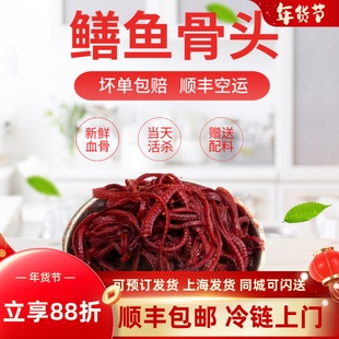 正宗【黄鳝血骨头】新鲜野外鳝鱼骨头长鱼干粉放顺丰冷链生化提白