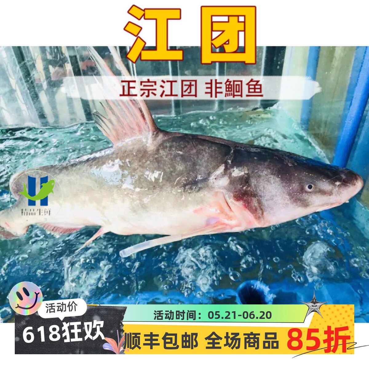 【江团】非清江鱼鲜活现杀新鲜长吻肥沱王回头渡红烧烤鱼钩黔钳鱼