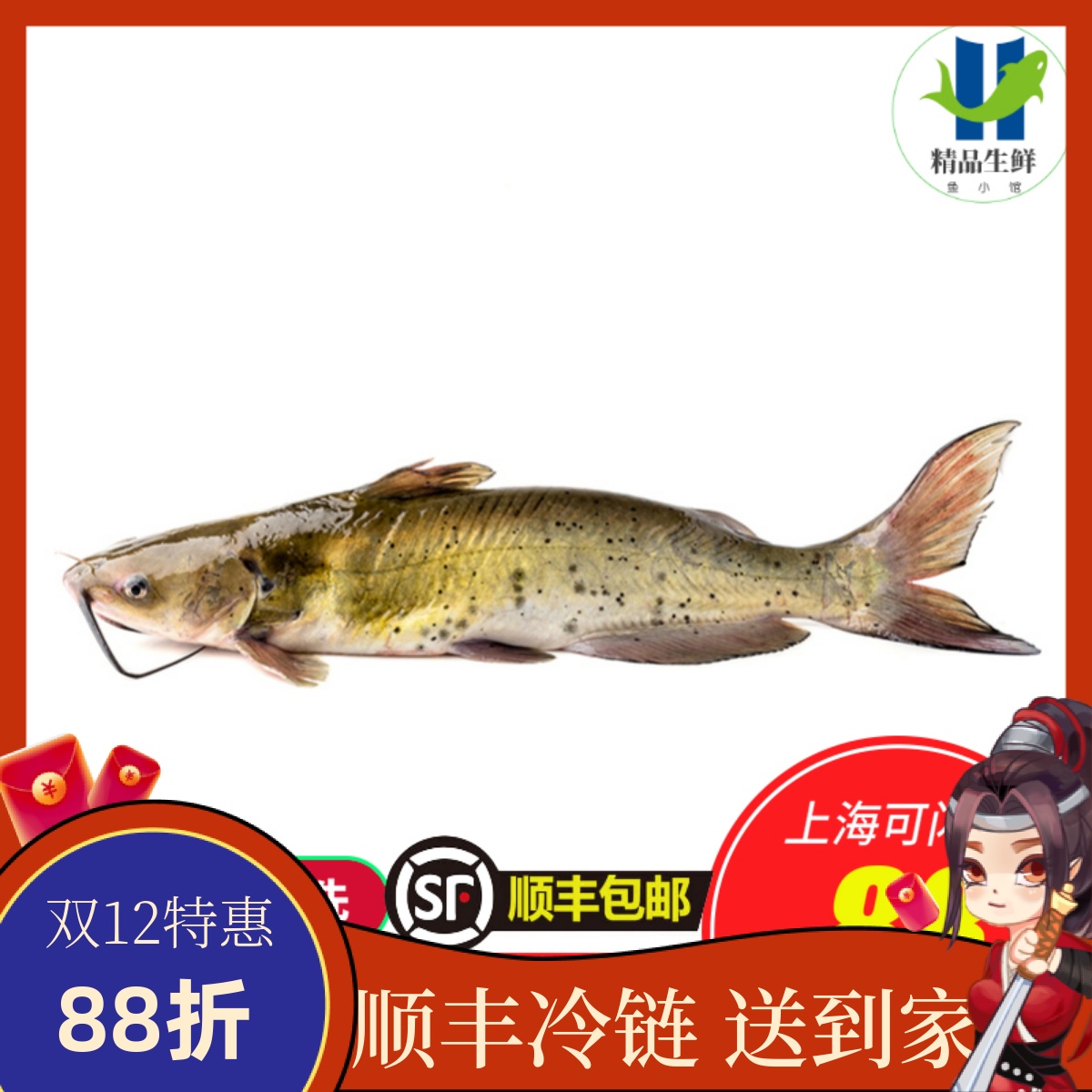 鲜活清江鱼整条江苏叉尾鮰鱼