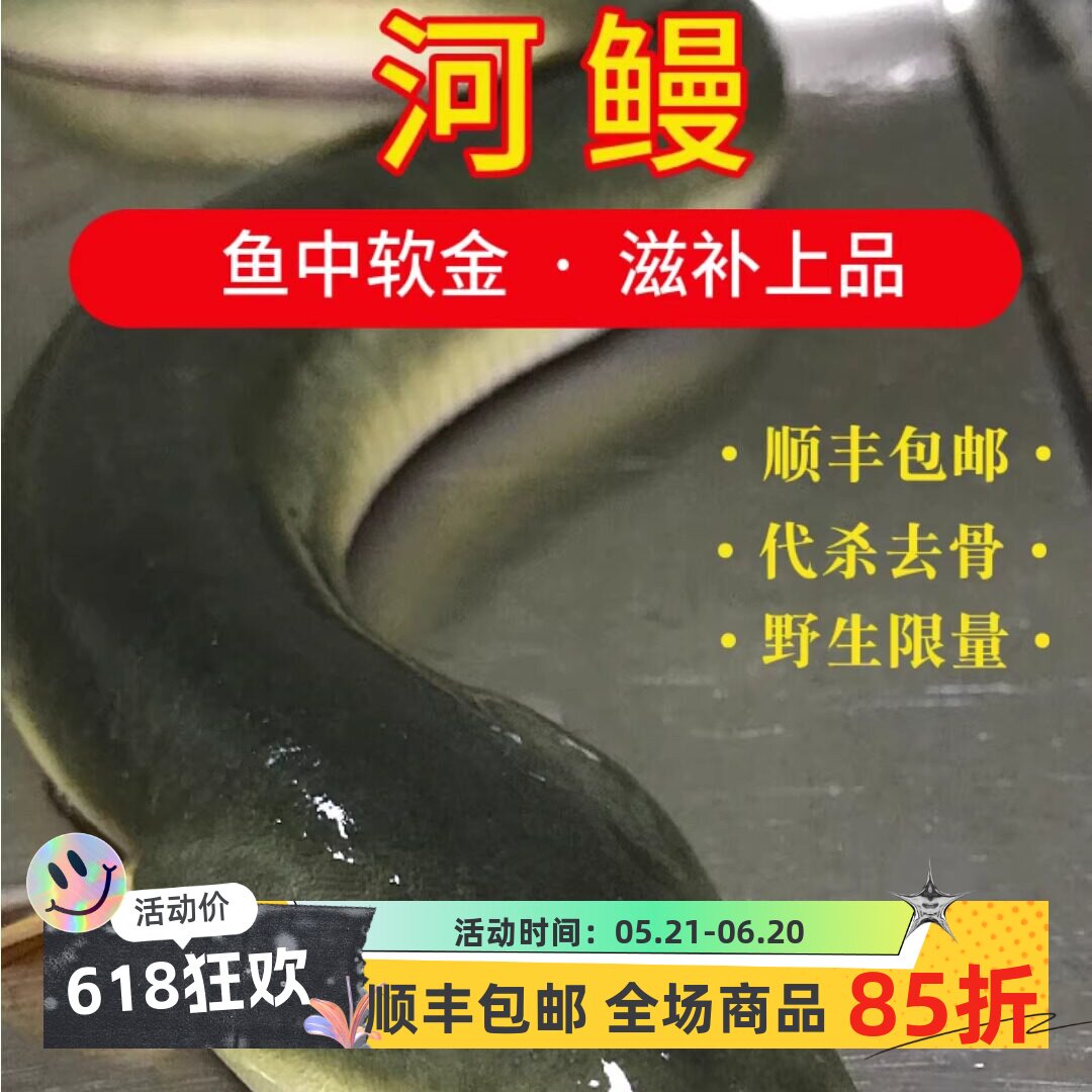 【野河鳗】包活体生邮大白鳝鱼蒲烧新鲜淡水养殖白鳗江鳗溪鳗正宗