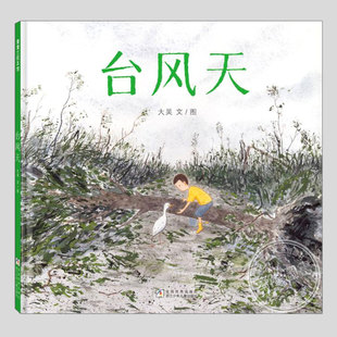 台风天绘本(正版硬壳精装)大吴作品,辛劳与坚韧主题儿童绘本3三-4-5到6岁以上幼儿园大中小班孩子早教阅读睡前启蒙故事图画书籍