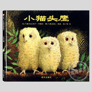 小猫头鹰绘本(正版硬壳精装)马丁韦德尔作品,爱与等待儿童绘本3三-4-5到6岁幼儿园大中小班宝宝孩子早教阅读睡前启蒙故事图画书籍